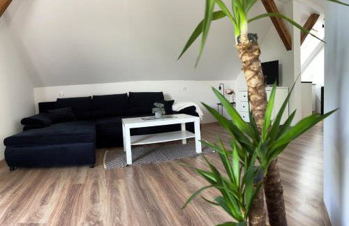 Las Palmas - Foto 19