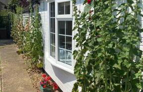 Field Cottage - Foto 4