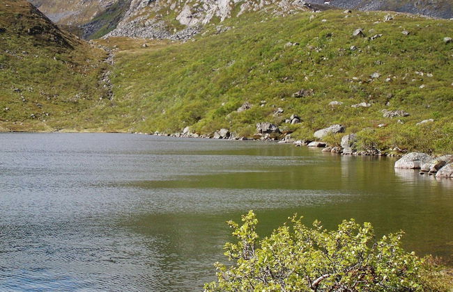 Holiday Home in Leknes - Foto 13