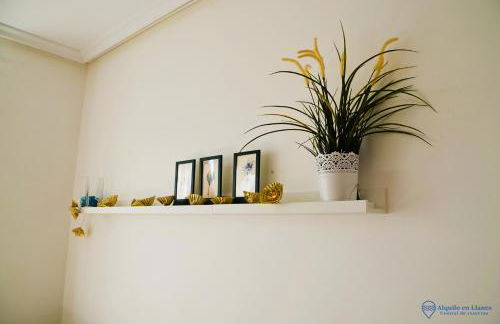 la cotera vut - Foto 14