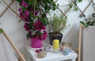 Nidu Accogliente in Balagna - Foto 37