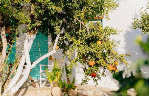 Xerolithia Guesthouse - Photo 52