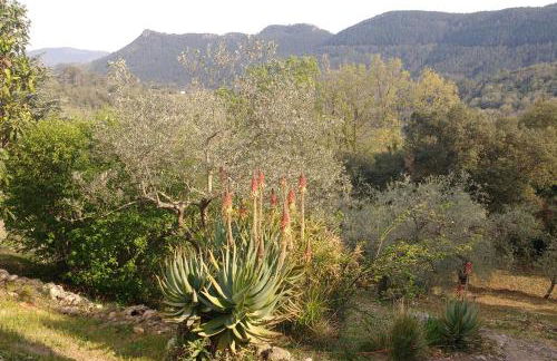 3-bedroom house with view - Foto 17