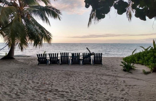 Finca Beachfront Tree house - Foto 23