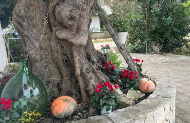 Il trullo di nonno Licchio - Foto 32