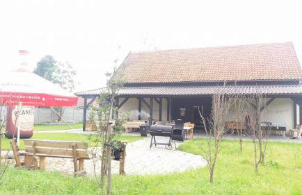 Jarzębinowy Agroturystyka - Foto 15