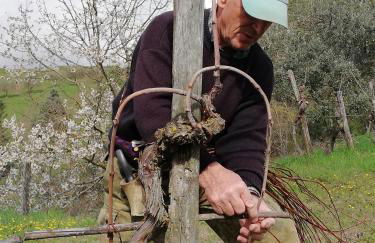 Agriturismo Collomici - Foto 79