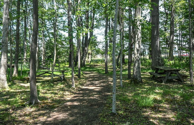 Lake Country - Foto 65