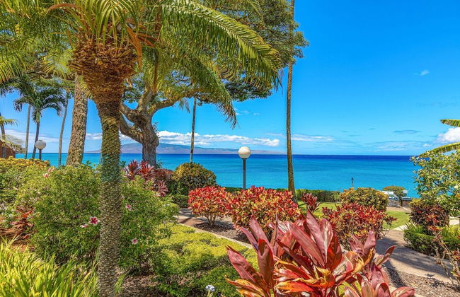 Kuleana 409 Oceanfront 1 bedroom 1 bath condo 1 Condo by RedAwning - Foto 51