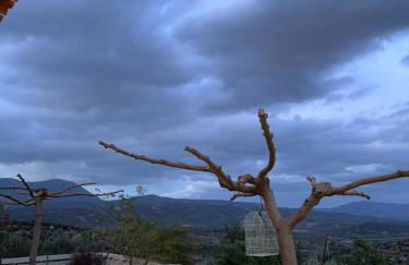 ''Shinohori'' Olive-Tree Apartment - Foto 29