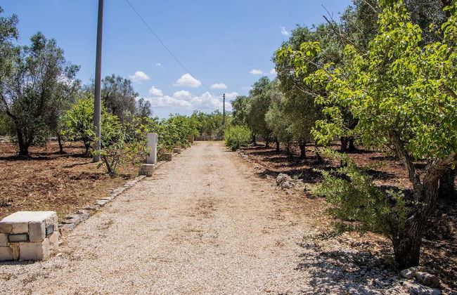 3598 Trullo Yoram by Perle di Puglia - Foto 40