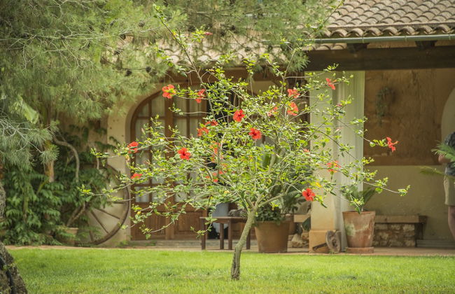 Son Mercadal - Foto 2