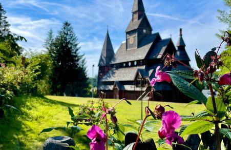 Ferienwohnung Harzurlaub - Photo 37