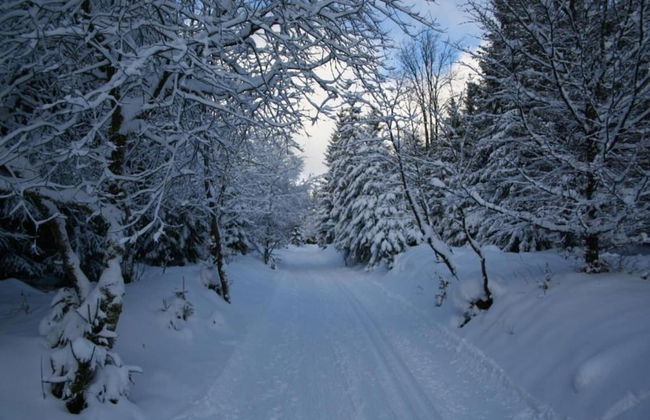 Luxurioser Wellnessaufenthalt in Elend - Foto 36