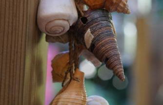 Casada's House - Photo 37