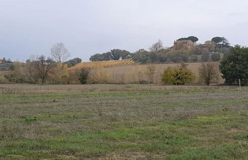Montepulciano - La Casetta del Pian delle Noci - Foto 45