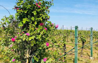 Wohnung Feldmann - Foto 17