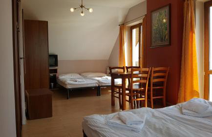 Willa Dzika Róża - Foto 9