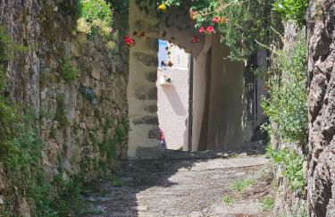Perched Nest in Cevennes Mountains, relaxing place - Photo 50