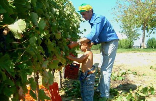 Casale Poggio Nebbia - Photo 72