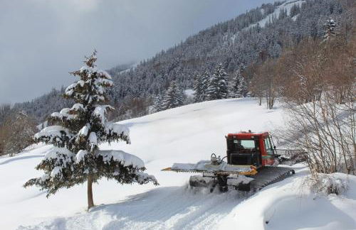 Maison de l'Epine -spa- Versant du soleil - Foto 28