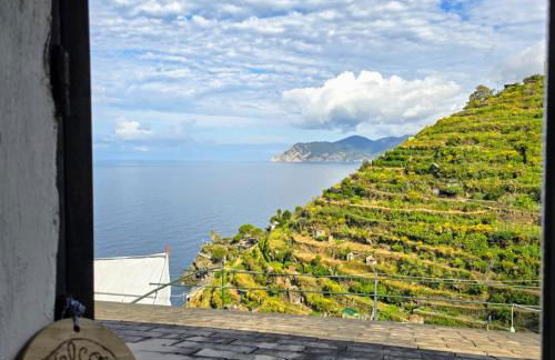 Sunset Manarola - Foto 14
