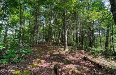 Tiny House, WIFI,Hot tub,Secluded - Foto 27