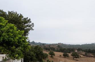 Herdade do Carregouçal - Foto 63