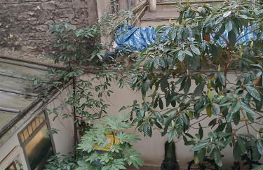 Studio cosy Paris 6ème Bon Marché - Foto 12