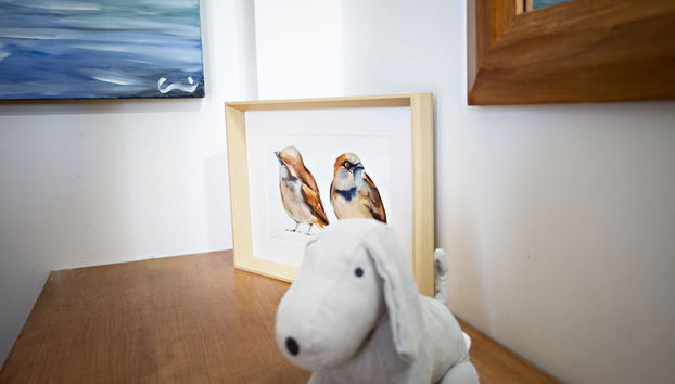 QV 21 - Straw Hat Apartment - Quinta Velha - Foto 5, Habitación