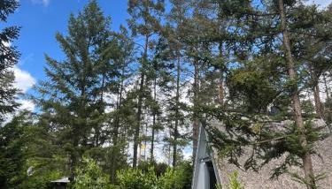 Ferienhaus Reetdach 1300qm Privatgrundstück Bootssteg Sauna Templin Lübbesee Uckermark Erholung pur Seenplatte - Foto 3