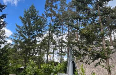 Ferienhaus Reetdach 1300qm Privatgrundstück Bootssteg Sauna Templin Lübbesee Uckermark Erholung pur Seenplatte - Photo 3