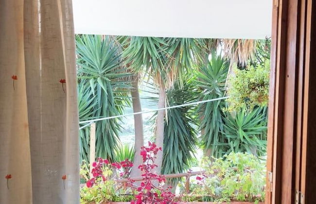 Los Viejitos en Firgas - Foto 42