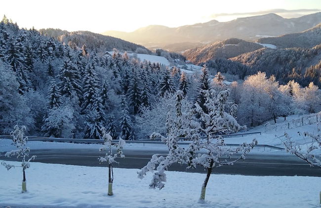 Apartment Jorsi With Mountain View - Foto 28