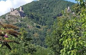 GÎTE **** L'ATELIER DU TONNELIER - Foto 20