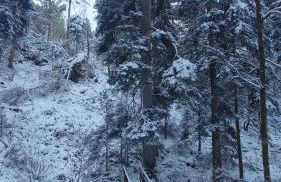 La ferme d aumontzey - Foto 35