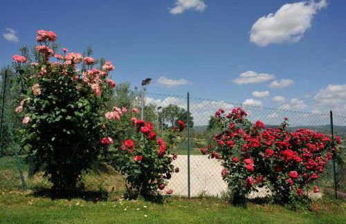 San Lorenzo - Foto 21