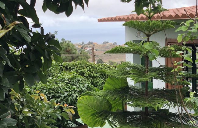 Los Viejitos en Firgas - Foto 46