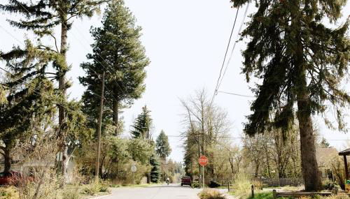 The Cozy Cottage - Foto 4