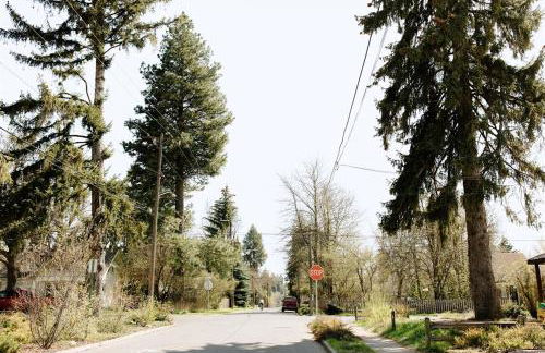 The Cozy Cottage - Foto 4