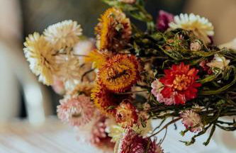 Agriturismo L'Elisir di Atena - Foto 64