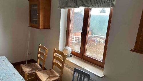 Kuschelige Ferienwohnung auf Reiterhof - Foto 5