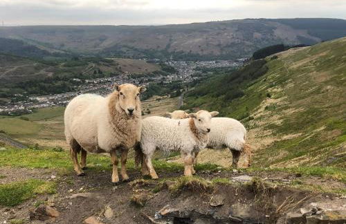 The SPACE Large House In Afan Forest Bike Park By STAE-Homes - Photo 39