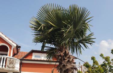 apartma Jelka - Foto 2