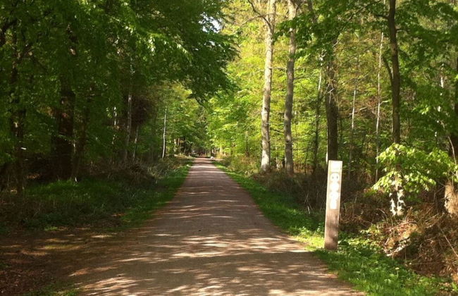 "residential Residence" Modern Retreat - Foto 22