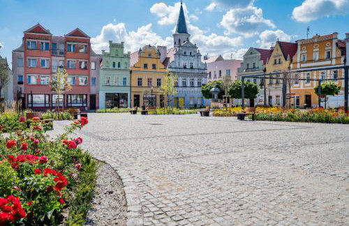 Apartamenty Miedź i Miód - Foto 41