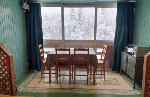 T2ideal vue imprenable sur la guisane - Photo 13