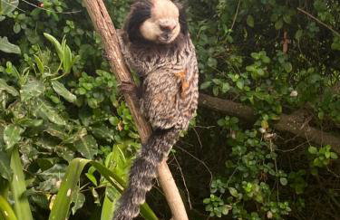 Apartamento Enseada Azul - Foto 18