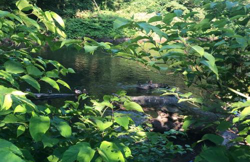 Gartenblick - Foto 58