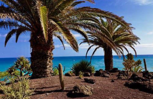 Esmeralda 15 Caleta de Fuste - Photo 33